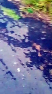 Moradora do Ouro Branco reclama de mato alto e lixo em terrenos e construções abandonadas