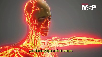 ¿Cómo actúa la aspirina para prevenir ataques cardíacos? 💊