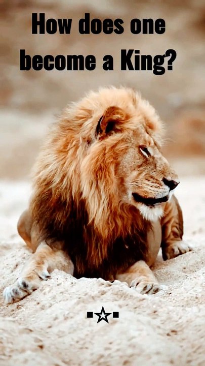 King mentality #motivation # Mentality is everything