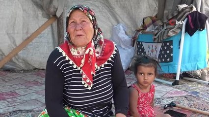 Çocuklarının bakmadığı yaşlı kadını çadırda da barındırmıyorlar