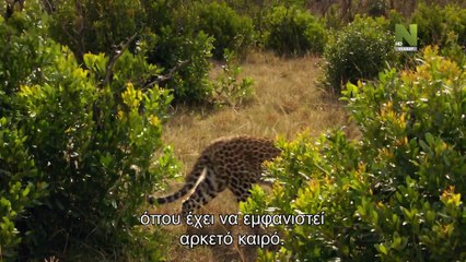 The Leopardess S01E01 - Sudden Death