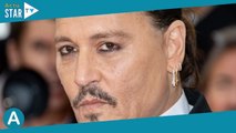 Johnny Depp acclamé au Festival de Cannes et bien accroché à Maïwenn sur le tapis rouge
