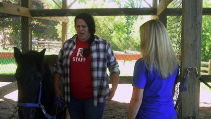 Horse Camp A Treasure Tail Trailer