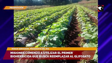 Misiones comenzó a utilizar el primer bioherbicida que busca reemplazar al glifosato