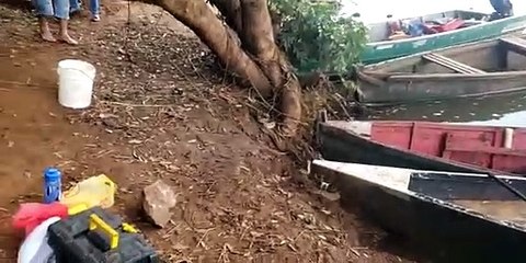 Pescadores flagram acasalamento de cobras na margem do Rio Ivaí 1