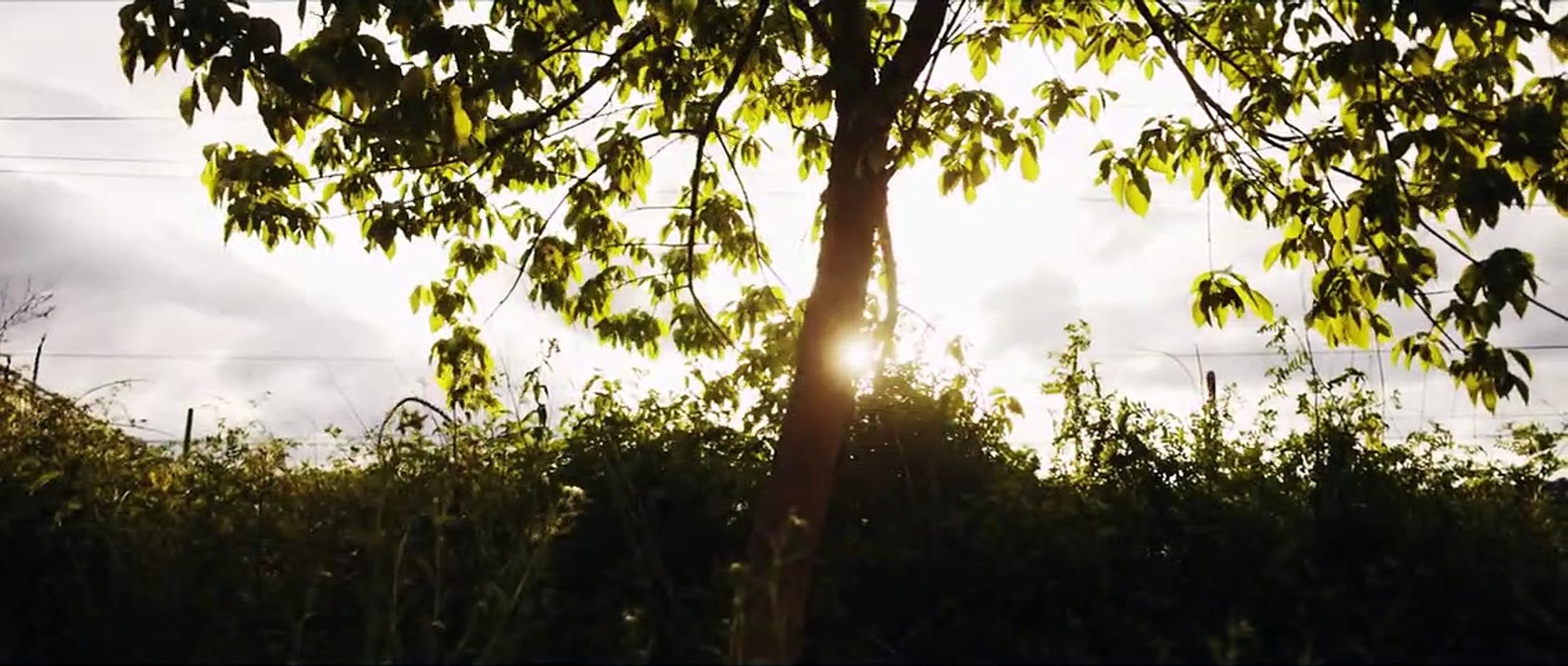 Strings | movie | 2012 | Official Trailer