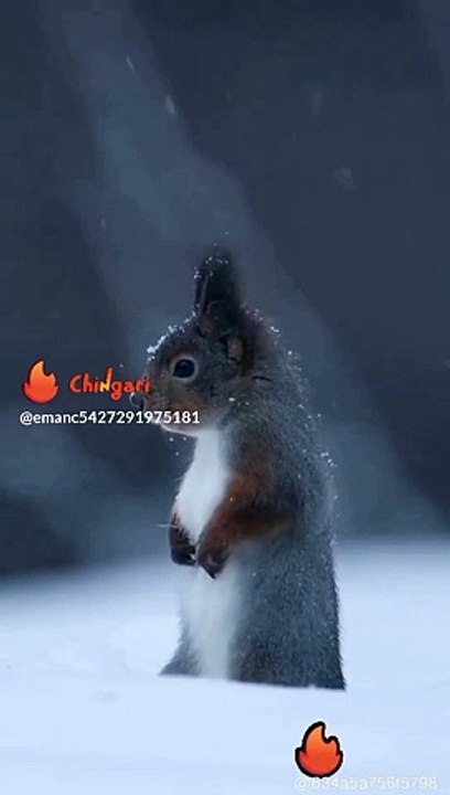 Cool