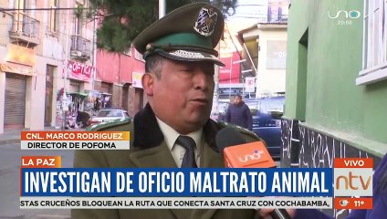Investigan de oficio maltrato animal