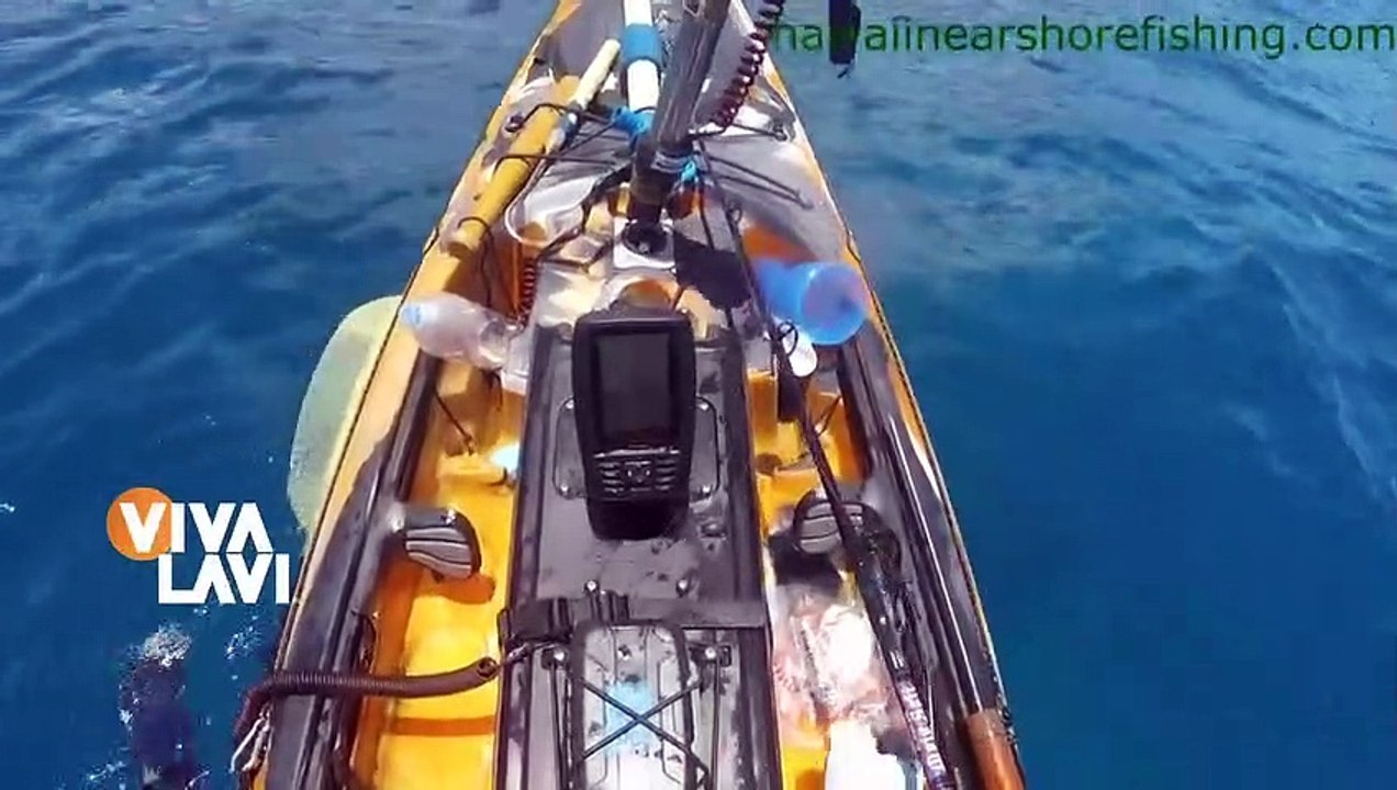 Captan momento del ataque de tiburón a kayak Vídeo Dailymotion