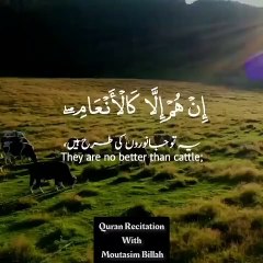 Surah Al Furqan Ayat - 33,34 -- Heart Touching Voice -- Jummah Mubarak Status -- Quran Shorts