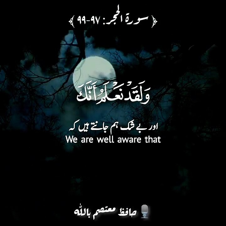 Surah Al Hijar Ayat - 97 - 99 -- Heart Touching Voice -- WhatsApp Status -- Tilawat e Quran --Shorts_2