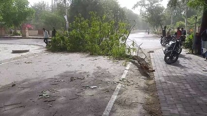 जल्द शुरू होगा तेज गर्मी का दौर, जयपुर का पारा पहुंचेगा 47 डिग्री तक