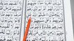 Learn Quran With Tajweed - Learn Surah Al Baqarah Word by Word By Qari Muhammad Saleem