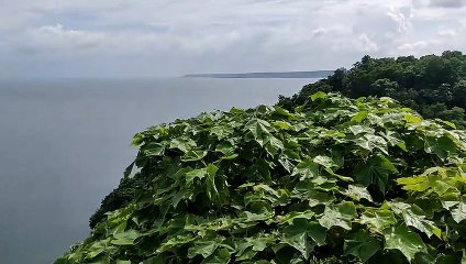 बारिश के बाद गांधीसागर में आएंगे 6 चीते, चंबल किनारें पर बन रहा बाड़ा