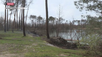 En Gironde, de la terre brûle depuis les incendies de l'été dernier