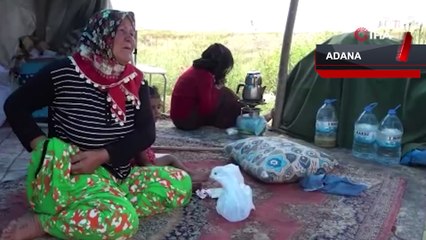 Çocuklarının bakmadığı yaşlı kadını çadırda da barındırmıyorlar