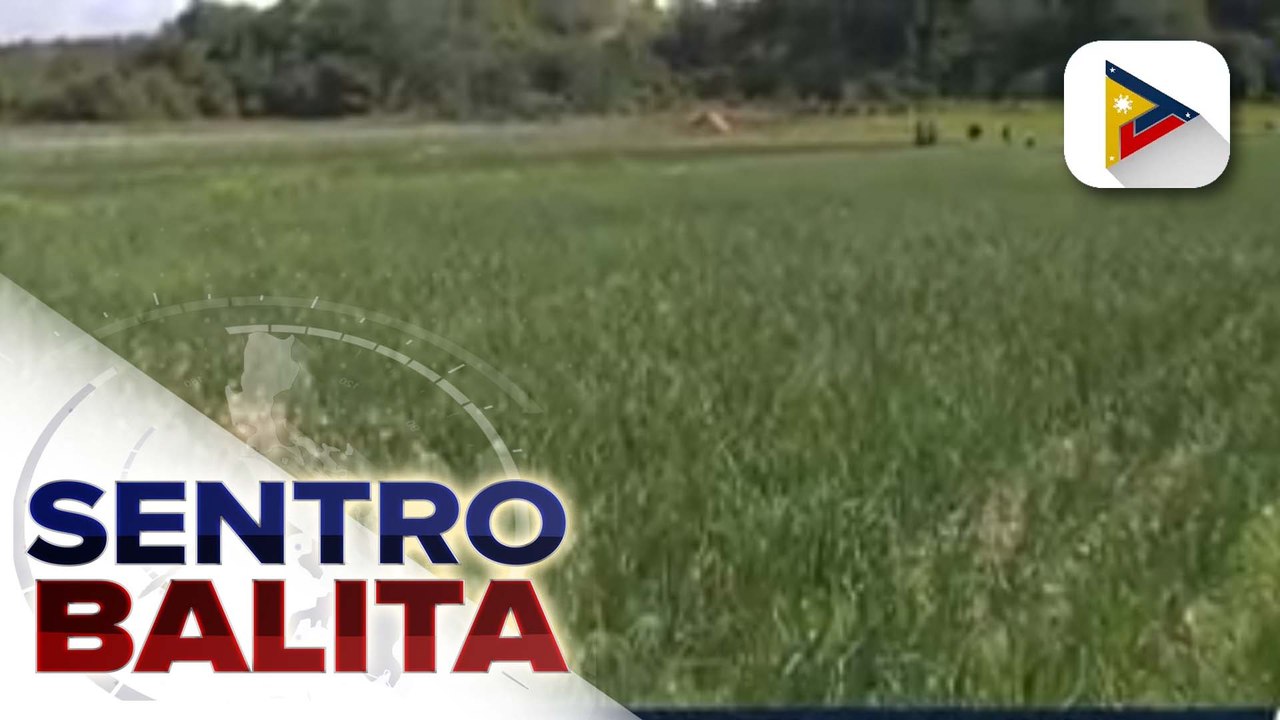BPI, tiniyak na calibrated ang gagawing importation ng sibuyas sa oras na maaprubahan