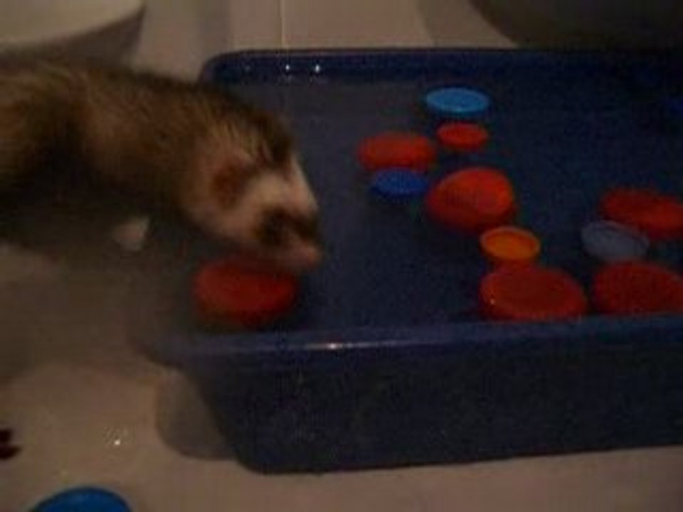 La pêche aux bouchons