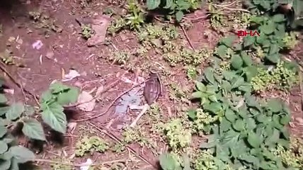 Polisten kaçan şüpheli, tabanca ve el bombasıyla yakalandı