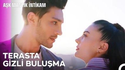 Bu Aşkın Çekim Gücüne Kapılmamak Mümkün Mü - Aşk Mantık İntikam