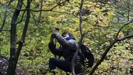 The ❤️love death 2 robat