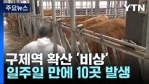 구제역 방역조치 전국 확대...20일까지 긴급 백신 접종 / YTN