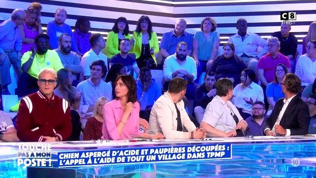 Incident hier sur le plateau de Touche pas à mon poste quand deux spectateurs s'embrouillent dans les gradins obligeant Cyril Hanouna à interrompre l'émission en direct - VIDEO