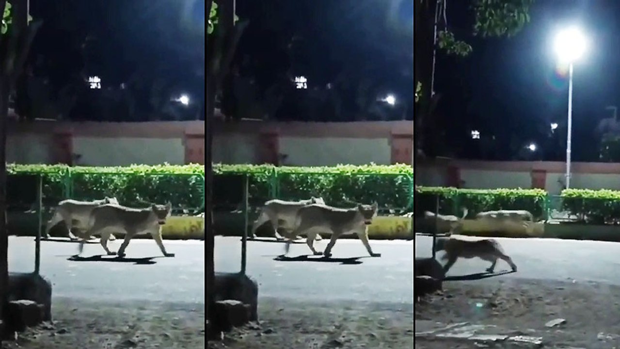 Un homme sort se promener le soir