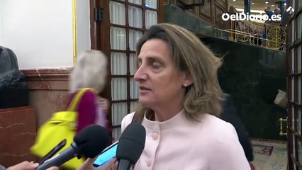 Ribera, sobre la reducción de regadíos para salvar Doñana: "En efecto, hay que reducir la presión, en esto trabajamos"