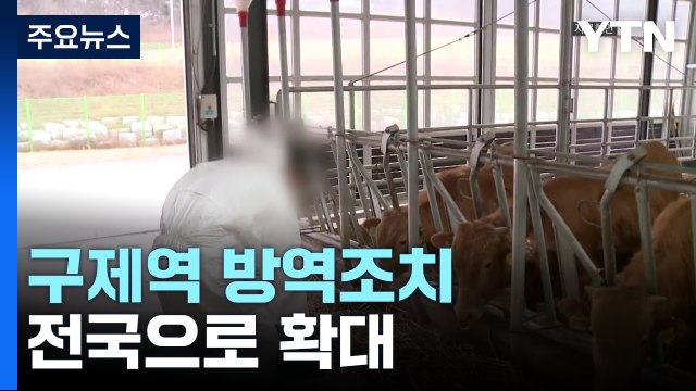 구제역 방역조치 전국 확대...20일까지 긴급 백신 접종 / YTN