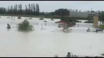 Maltempo Romagna, sul Savio le gru per rimuovere i tronchi