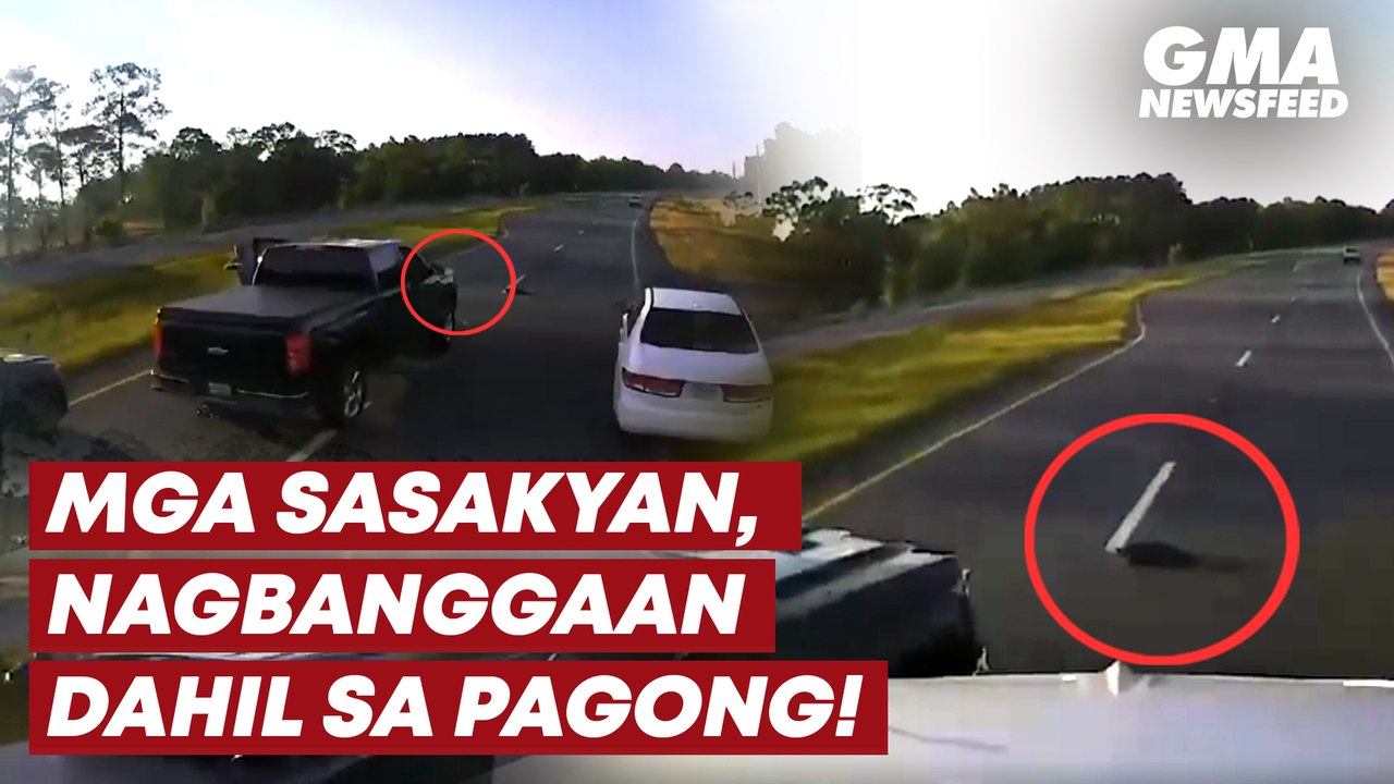 Mga sasakyan, nagbanggaan dahil sa pagong! | GMA News Feed