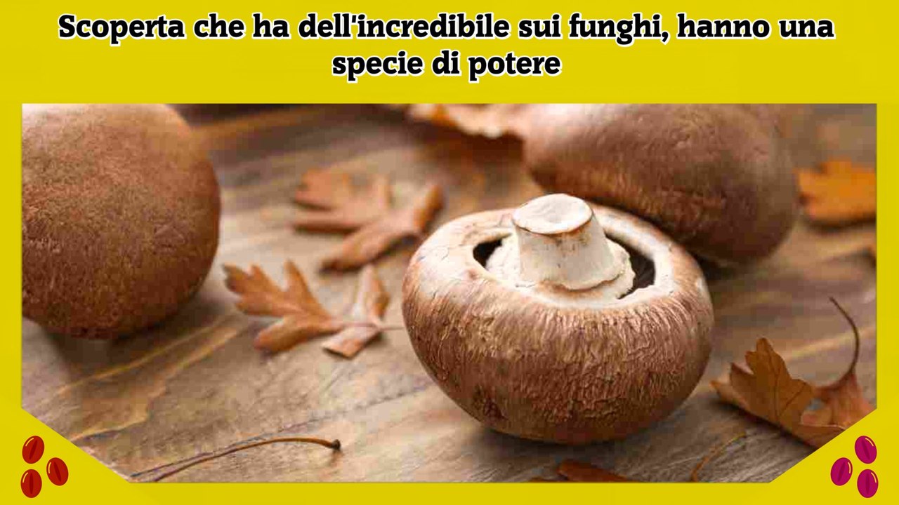Scoperta che ha dell'incredibile sui funghi, hanno una specie di potere