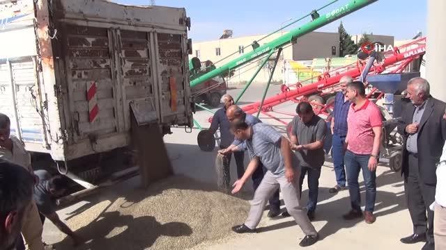 Mardin'de ilk arpa hasadında verim artışı çiftçinin yüzünü güldürdü