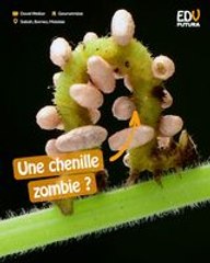 Découvrez le destin effrayant d'une chenille arpenteuse aux prises avec des parasites !