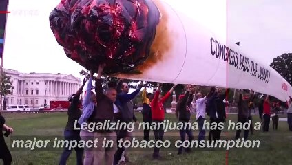 States That Legalized Marijuana See Massive Reduction in Tobacco Use