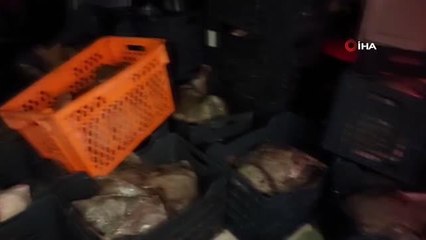 İstanbul'da yasa dışı avlanan 9 ton kalkan balığı ele geçildi