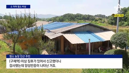 소 이어 염소 농장까지…구제역 피해 확산 ‘비상’