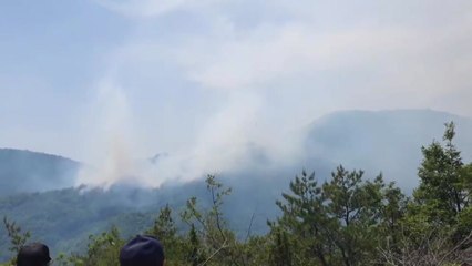 강릉·철원 등 군부대 사격 훈련 중 연이어 산불 / YTN