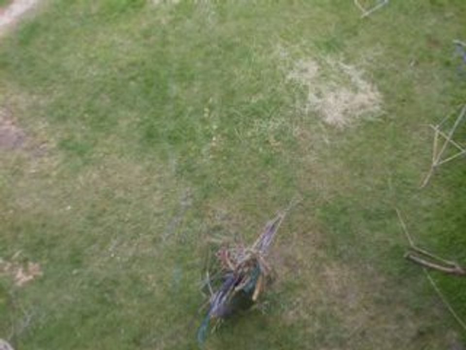 Structures nomades04