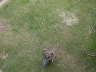 Nomadic Structures at Raramuri Art Festival 2008