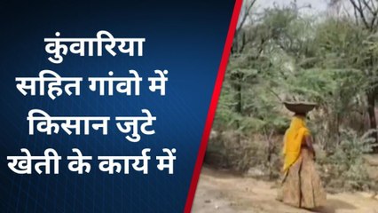 राजसमंद : किसान जुटे खेती के कार्य मे, देखिए तस्वीरें