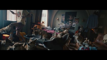 Dailymotion - campagne "Change ton feed" 2023 (Corgis 30")