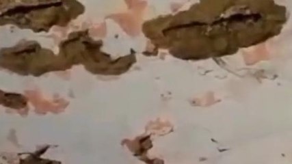 गोपालगंज: जर्जर भवन में चल रहा यह विद्यालय, अगर हुआ कोई हादसा तो कौन जिम्मेदार