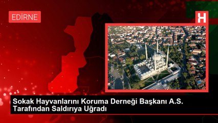Sokak Hayvanlarını Koruma Derneği Başkanı A.S. Tarafından Saldırıya Uğradı