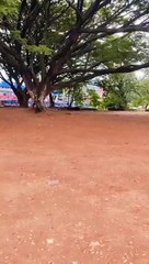 Ollulleru Justin Varghese Praseetha Chalakudy Ajagajantharam Antony Varghese Tinu Pappachan