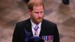 Prince Harry has been told the Metropolitan Police are not 