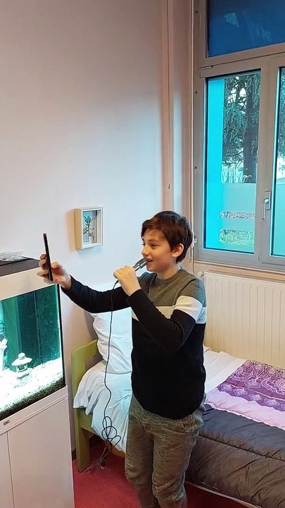 Collège Ronsard Limoges