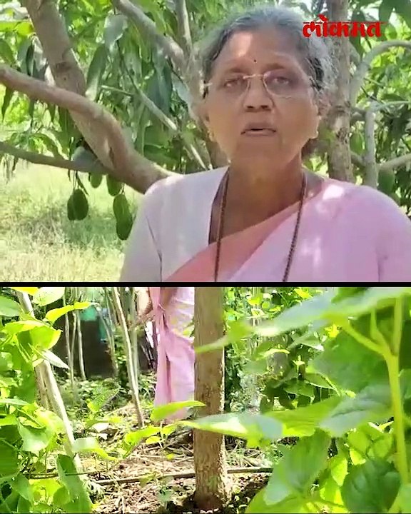 डॉक्टरकी सोडली वयाच्या ६२ व्या वर्षी शेती फुलवली-_1