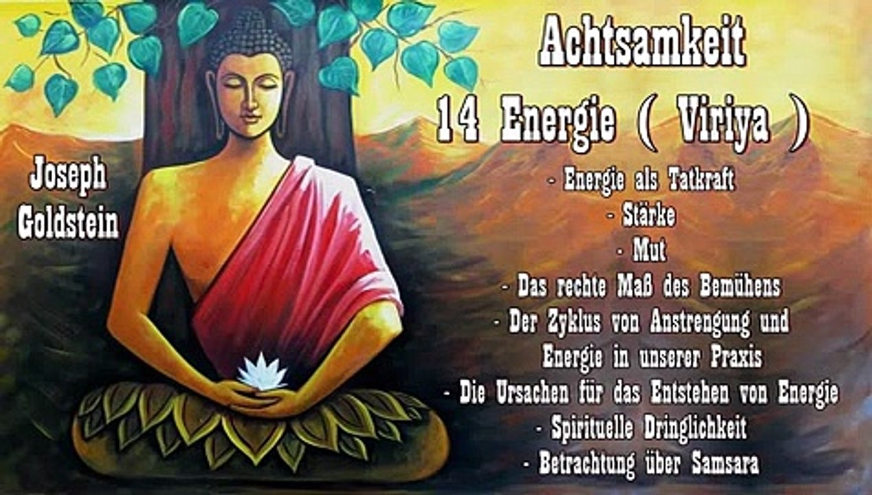 Achtsamkeit 14 Energie ( Viriya ) - Joseph Goldstein